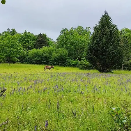 Sejour A La Campagne En Perigord Noir Holiday home