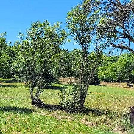Ferienhaus Sejour A La Campagne En Perigord Noir La Cassagne